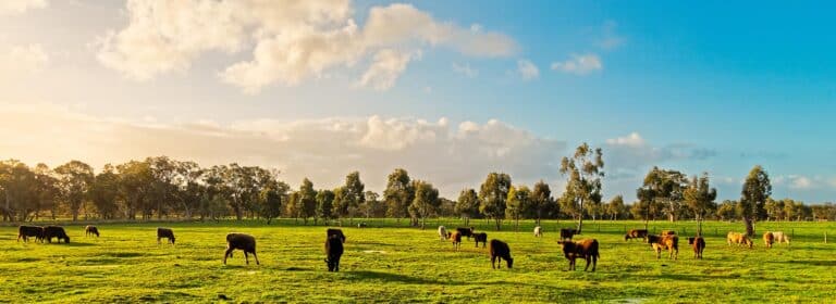 Badgerys Creek