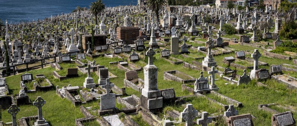 Cremation and Burial: Making a Choice That Feels Right for You