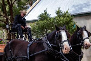 Emu Plains - Funeral Australia Nepean Valley